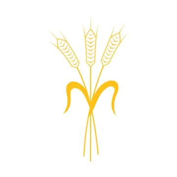 Ears of Wheat, Barley or Rye vector visual graphic icon Stock Illustration