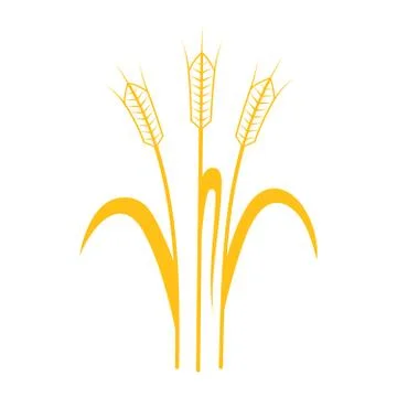 Ears of Wheat, Barley or Rye vector visual graphic icon Stock Illustration