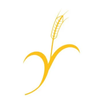Ears of Wheat, Barley or Rye vector visual graphic icon Stock Illustration