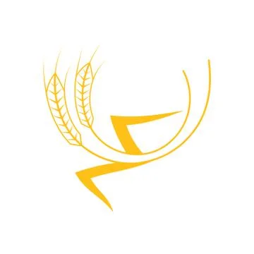 Ears of Wheat, Barley or Rye vector visual graphic icon Illustrazione stock