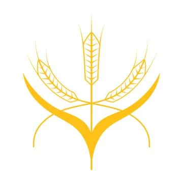 Ears of Wheat, Barley or Rye vector visual graphic icon Illustrazione stock