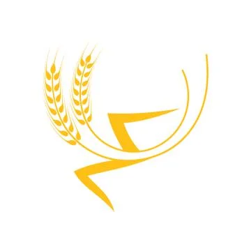 Ears of Wheat, Barley or Rye vector visual graphic icon Stock Illustration