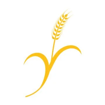 Ears of Wheat, Barley or Rye vector visual graphic icon Stock Illustration