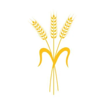 Ears of Wheat, Barley or Rye vector visual graphic icon Stock Illustration