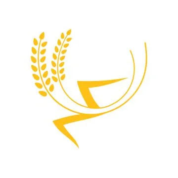 Ears of Wheat, Barley or Rye vector visual graphic icon Stock Illustration