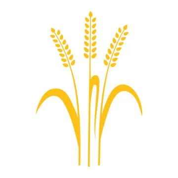 Ears of Wheat, Barley or Rye vector visual graphic icon Stock Illustration