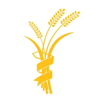 Ears of Wheat, Barley or Rye vector visual graphic icons Stock Illustration