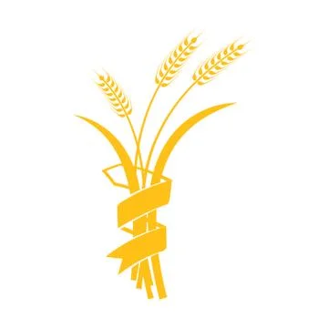 Ears of Wheat, Barley or Rye vector visual graphic icons Stock Illustration