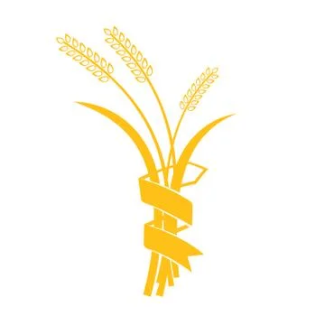 Ears of Wheat, Barley or Rye vector visual graphic icons Illustrazione stock