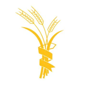 Ears of Wheat, Barley or Rye vector visual graphic icons Stock Illustration