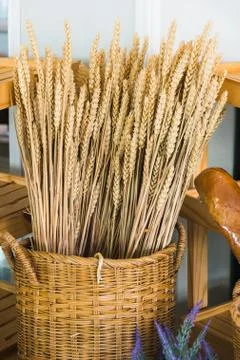 Ears of wheat in basket Foto stock