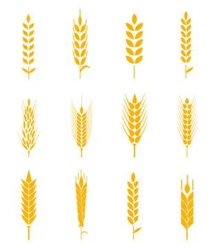 Ears of wheat bread symbols. Illustrazione stock