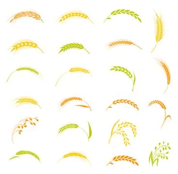 Ears of wheat bread symbols. Stock Illustration