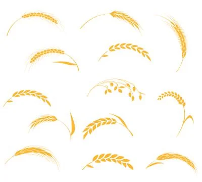 Ears of wheat bread symbols. Stock Illustration