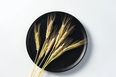 Ears of wheat cereal Stock Photos