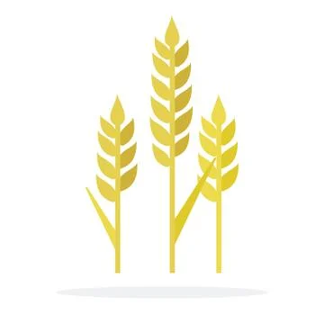 Ears of wheat flat isolated Stock Illustration