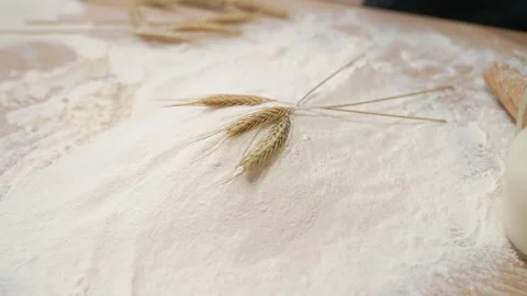 Ears Wheat Flour 動画素材 273500319