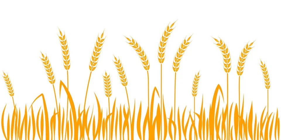 Ears of wheat horizontal border seamless pattern Stock Illustration
