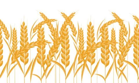 Ears of wheat horizontal border seamless. Gold color grain with cartoon style Stock Illustration