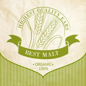 Ears of Wheat. Illustrazione stock