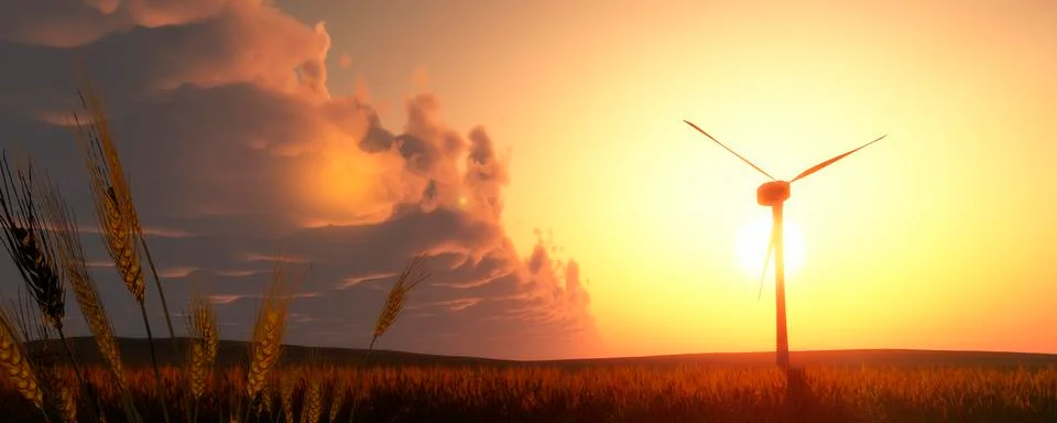 Ears of wheat Stock Illustration