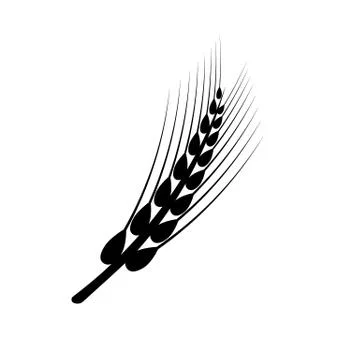 Ears of wheat Stock Illustration