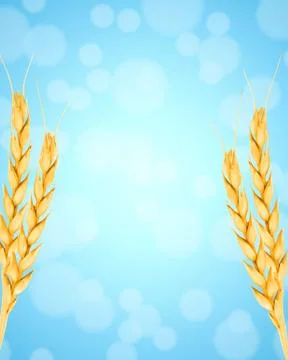 Ears of wheat Stock Illustration