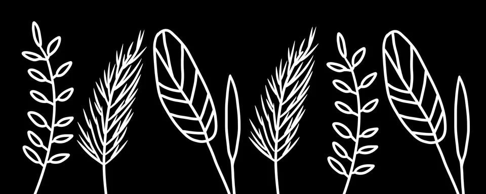 Ears of wheat illustration	 Stock Illustration