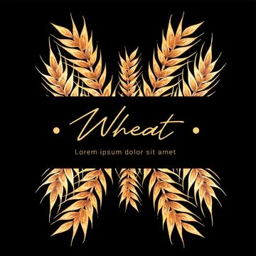 Ears of wheat label on black background. Watercolor hand drawn illustration Stock Illustration
