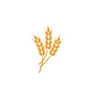 Ears of wheat. Logo. Vector illustration on white isolated background Stock Illustration