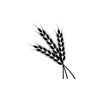 Ears of wheat. Logo. Vector illustration on white isolated background Stock Illustration