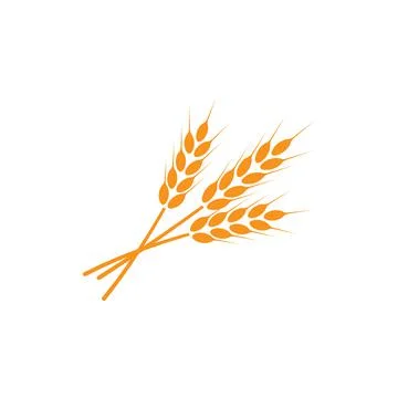 Ears of wheat. Logo. Vector illustration on white isolated background Stock Illustration