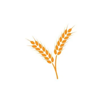 Ears of wheat. Logo. Vector illustration on white isolated background Stock Illustration