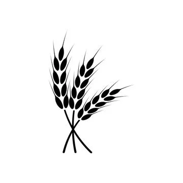 Ears of wheat. Logo. Vector illustration on white isolated background Stock Illustration