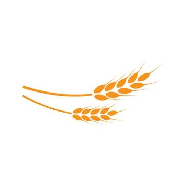 Ears of wheat. Logo. Vector illustration on white isolated background Stock Illustration