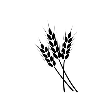 Ears of wheat. Logo. Vector illustration on white isolated background Stock Illustration