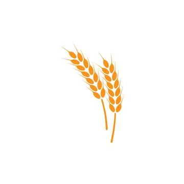 Ears of wheat. Logo. Vector illustration on white isolated background Stock Illustration
