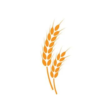 Ears of wheat. Logo. Vector illustration on white isolated background Stock Illustration
