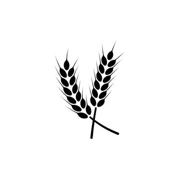 Ears of wheat. Logo. Vector illustration on white isolated background Stock Illustration