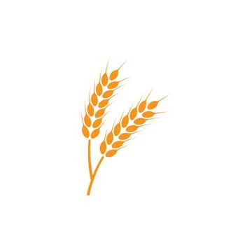 Ears of wheat. Logo. Vector illustration on white isolated background Stock Illustration