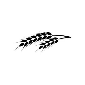 Ears of wheat. Logo. Vector illustration on white isolated background Stock Illustration