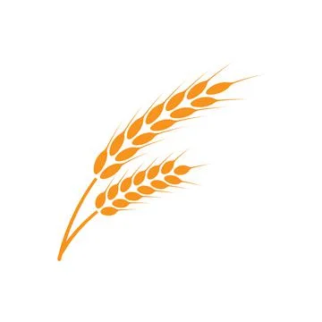 Ears of wheat. Logo. Vector illustration on white isolated background Stock Illustration