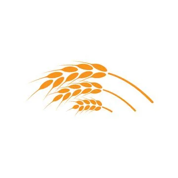Ears of wheat. Logo. Vector illustration on white isolated background Stock Illustration