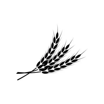 Ears of wheat. Logo. Vector illustration on white isolated background Stock Illustration