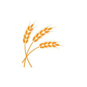 Ears of wheat. Logo. Vector illustration on white isolated background Stock Illustration