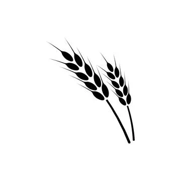 Ears of wheat. Logo. Vector illustration on white isolated background Stock Illustration