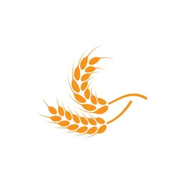 Ears of wheat. Logo. Vector illustration on white isolated background Stock Illustration