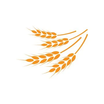 Ears of wheat. Logo. Vector illustration on white isolated background Stock Illustration