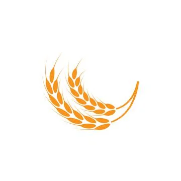 Ears of wheat. Logo. Vector illustration on white isolated background Stock Illustration