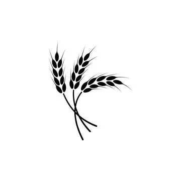 Ears of wheat. Logo. Vector illustration on white isolated background Stock Illustration